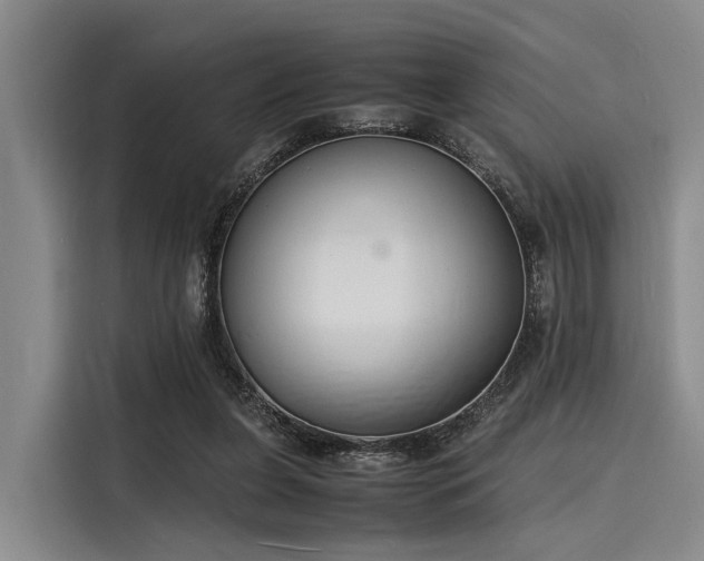X0000116140255200911301526