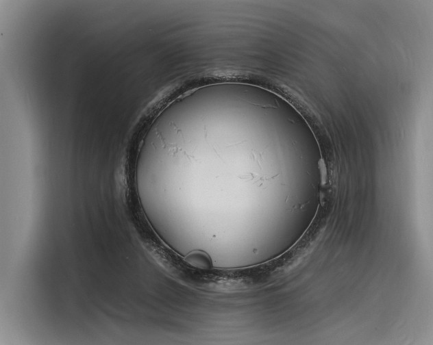 X0000116140256200911301526
