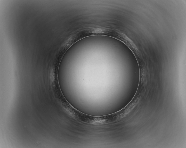 X0000116140257200911301526