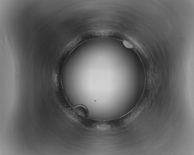 X0000116140258200911301526