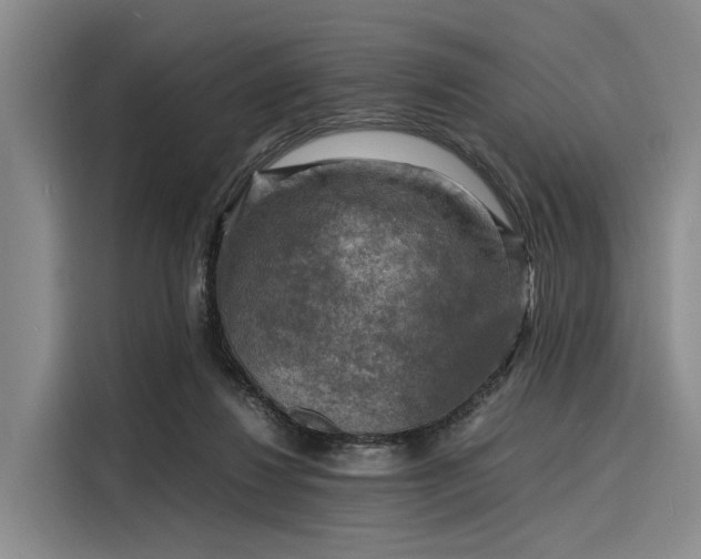 X0000116140260200911301526