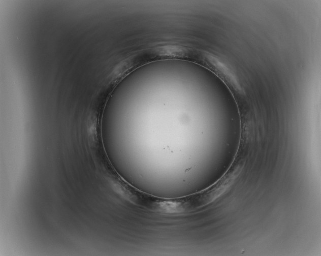 X0000116140265200911301526