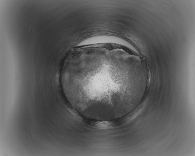 X0000116140269200911301526