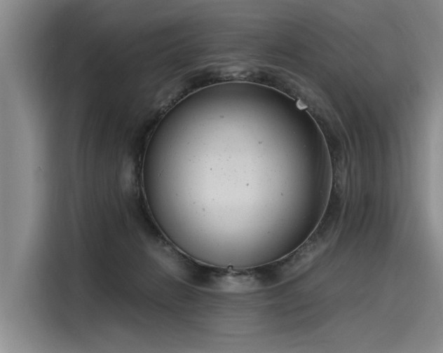 X0000116140270200911301526