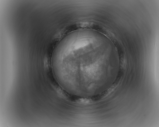 X0000116140272200911301527