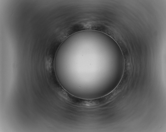 X0000116140275200911301527