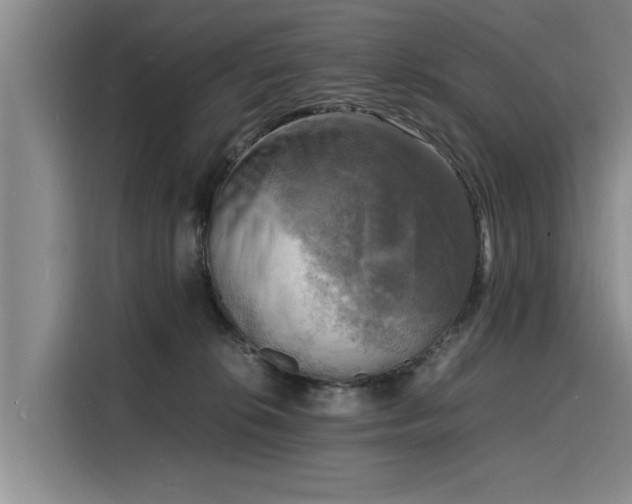 X0000116140276200911301527