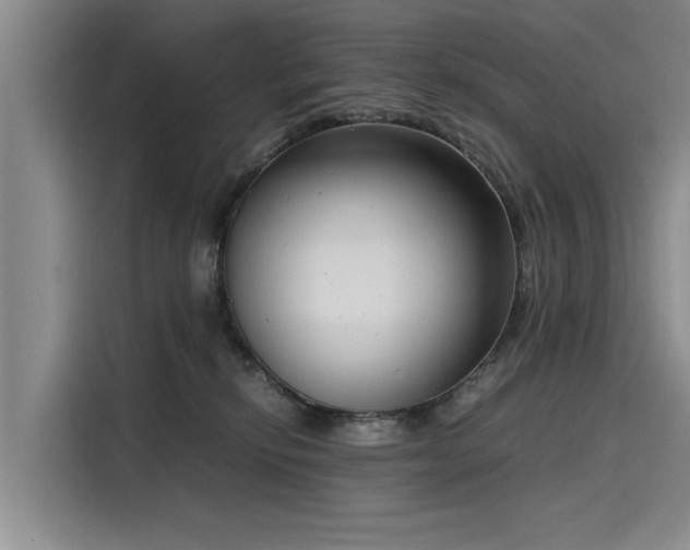 X0000116140278200911301527