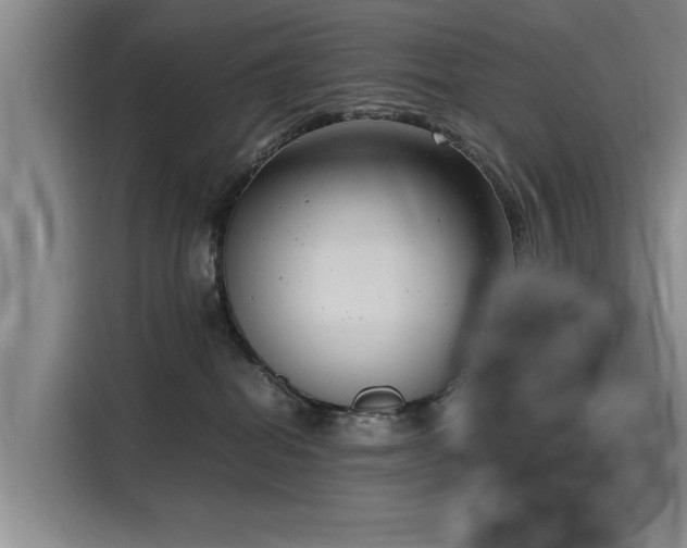 X0000116140282200911301527