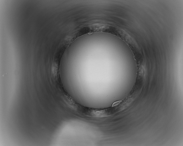 X0000116140283200911301527