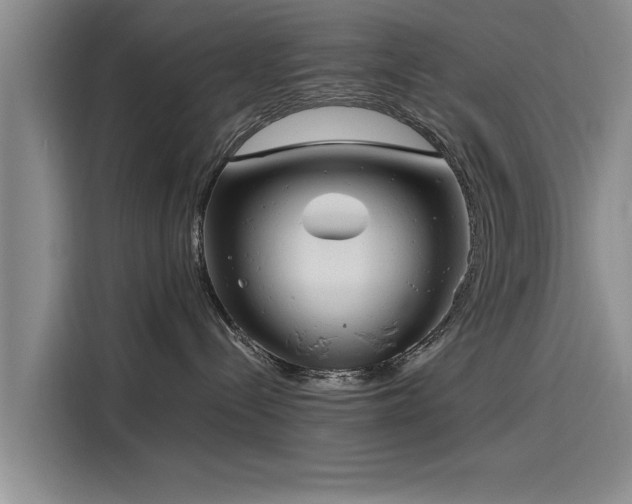 X0000116140288200911301527