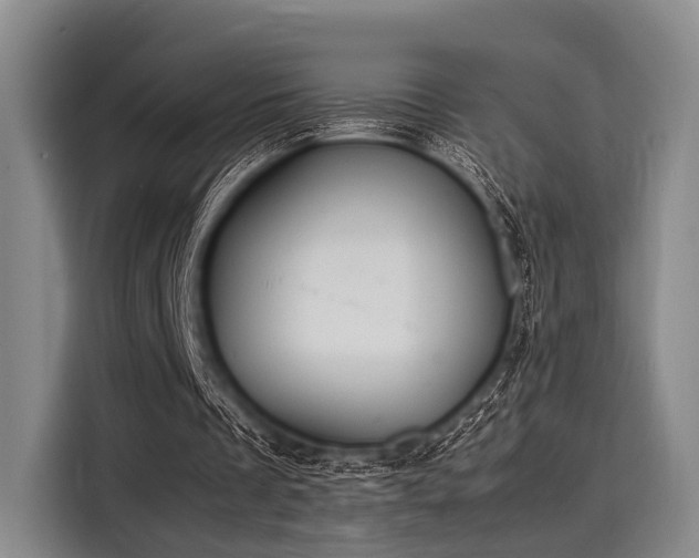 X0000116140289200911301526