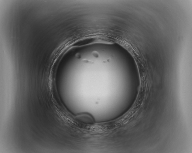 X0000116140290200911301526