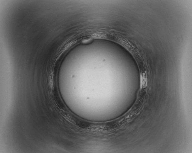 X0000116140291200911301526