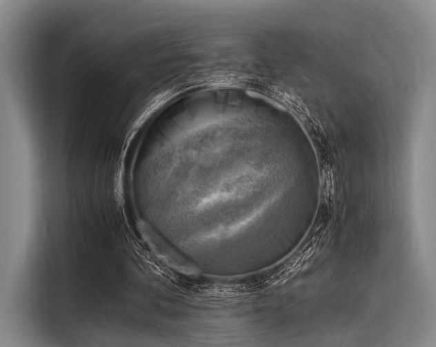 X0000116140292200911301526
