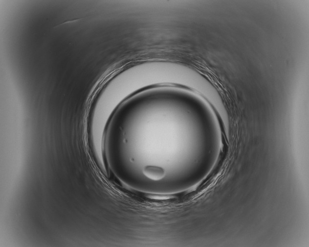 X0000116140293200911301526