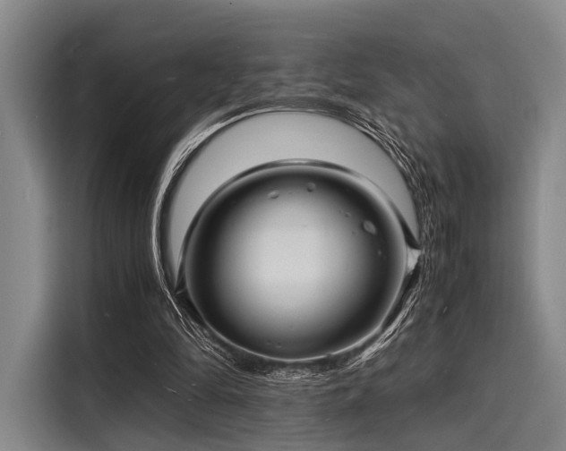 X0000116140294200911301526