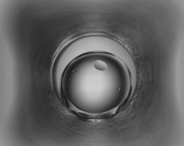X0000116140296200911301526