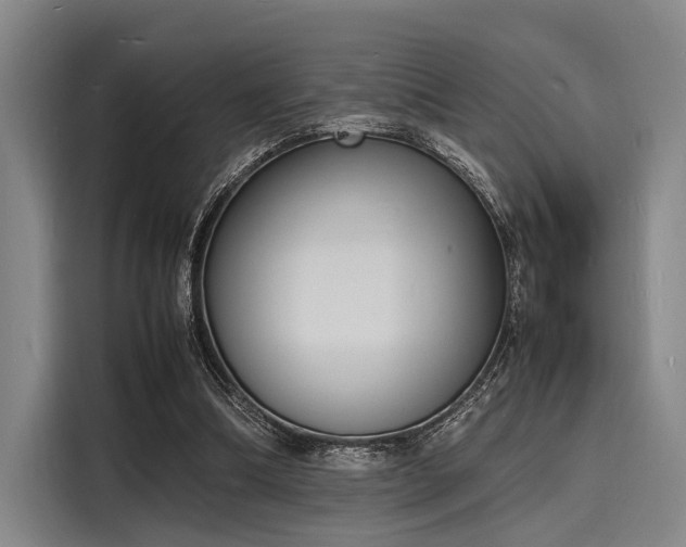 X0000116140298200911301526