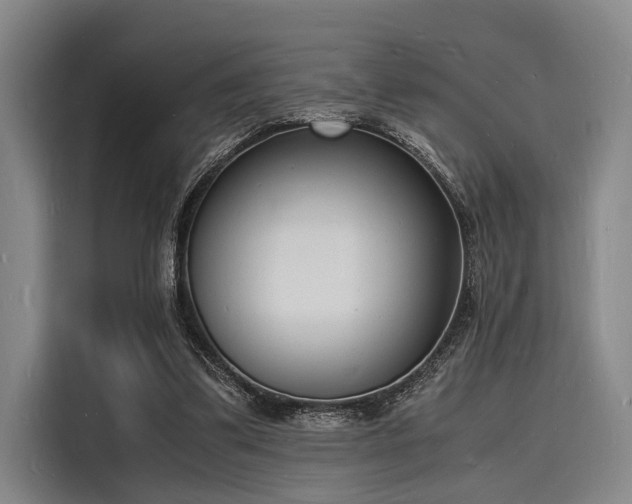 X0000116140299200911301526