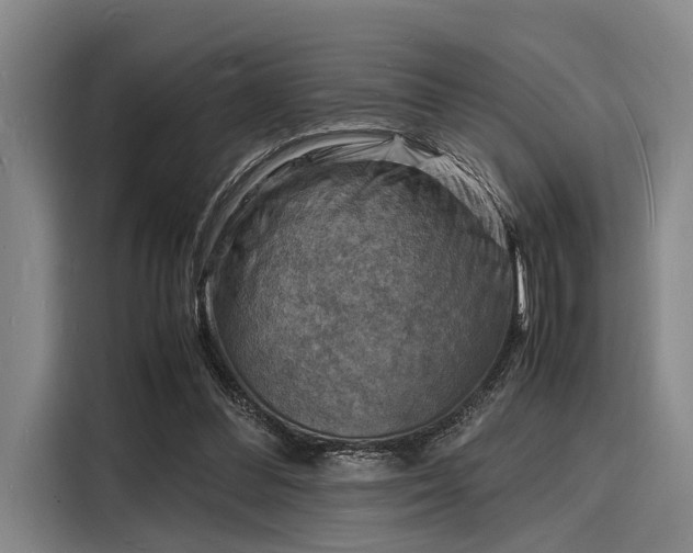 X0000116140300200911301526
