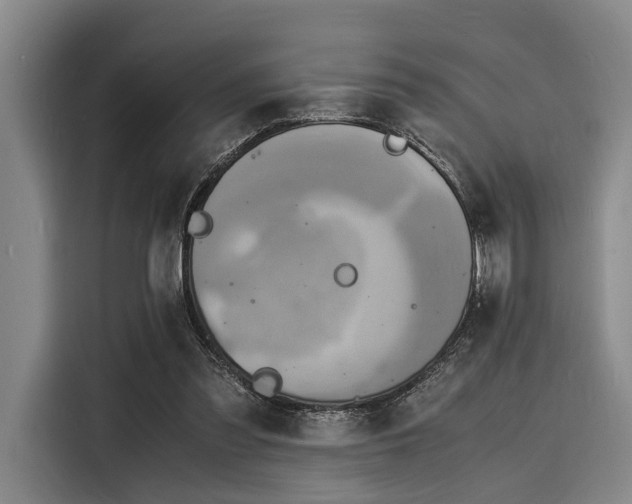 X0000116140301200911301526