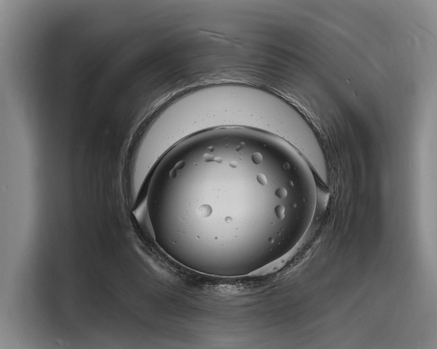 X0000116140302200911301526