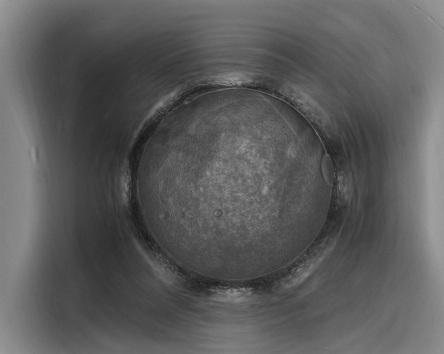 X0000116140304200911301526
