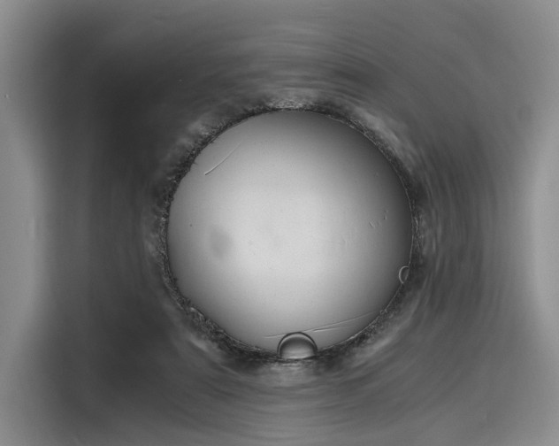 X0000116140307200911301526
