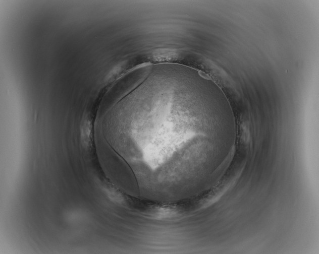 X0000116140308200911301526