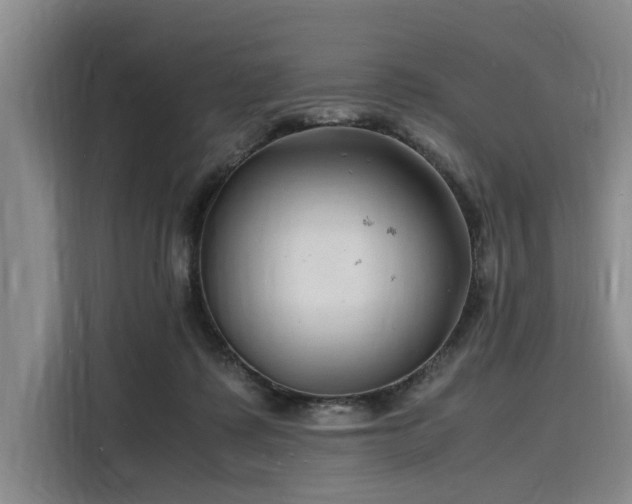 X0000116140315200911301526