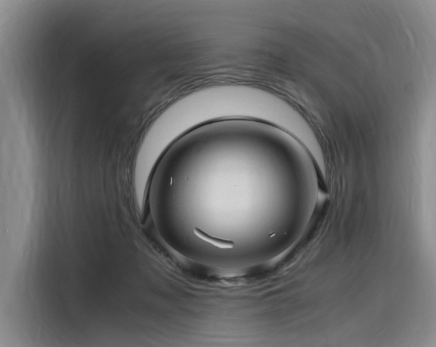 X0000116140317200911301526