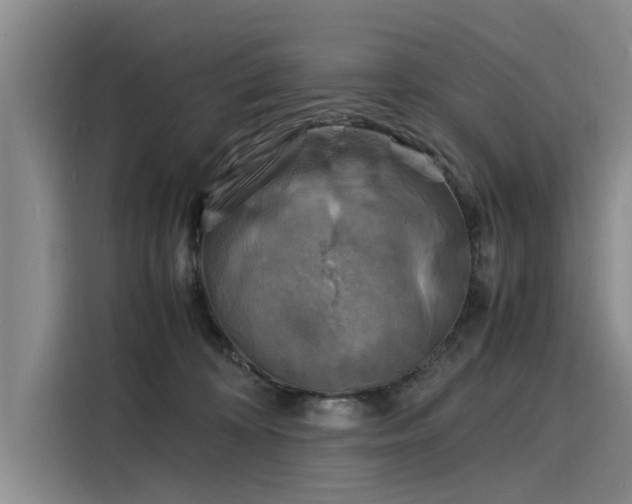 X0000116140324200911301526