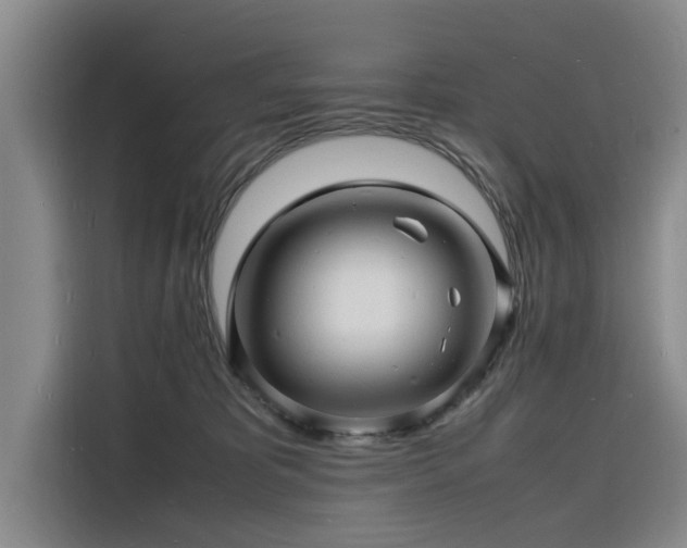 X0000116140325200911301526