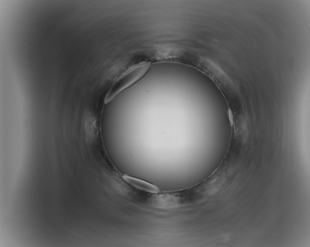 X0000116140327200911301526