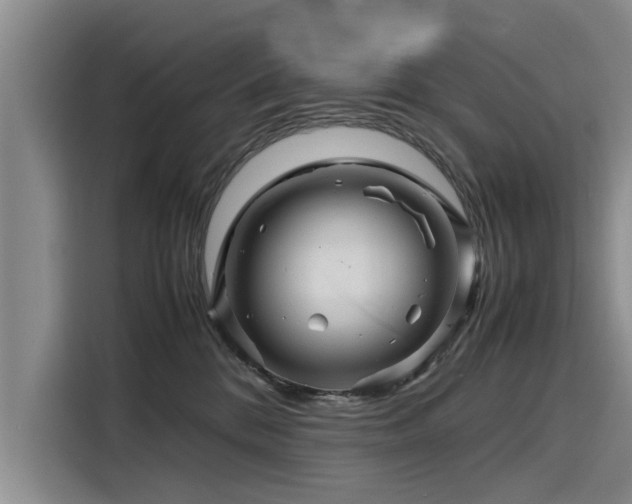 X0000116140328200911301526