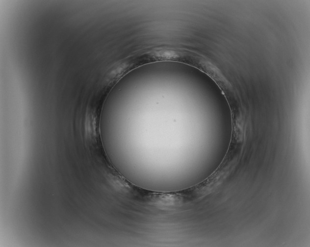 X0000116140330200911301526