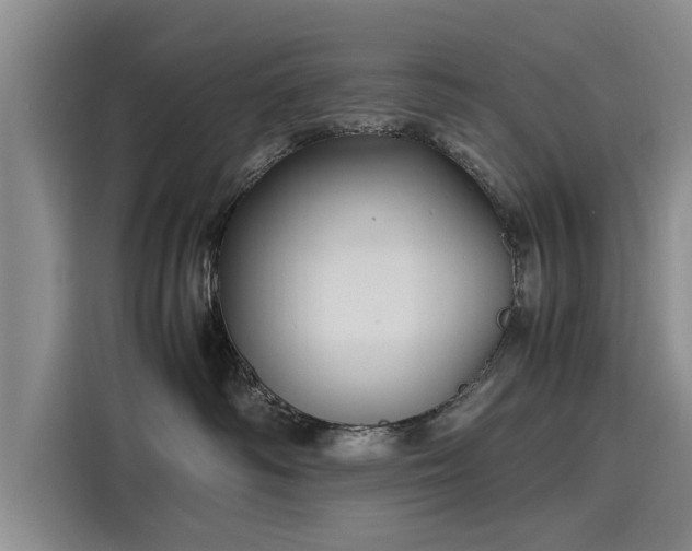 X0000116140334200911301525