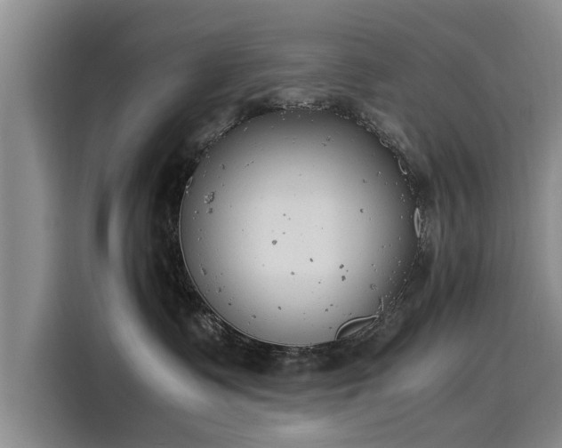 X0000116140335200911301525