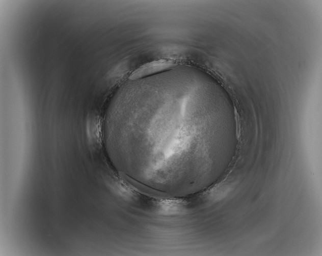 X0000116140336200911301525