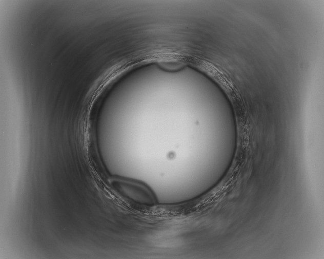 X0000116140338200911301525
