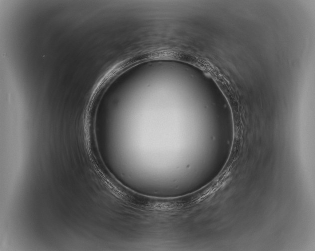 X0000116140341200911301525