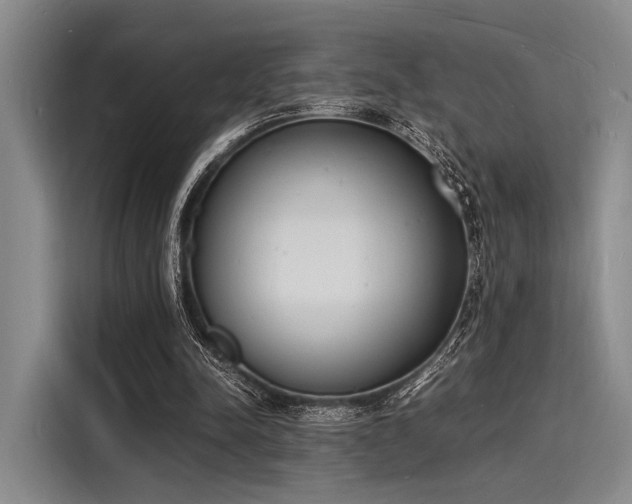 X0000116140342200911301525