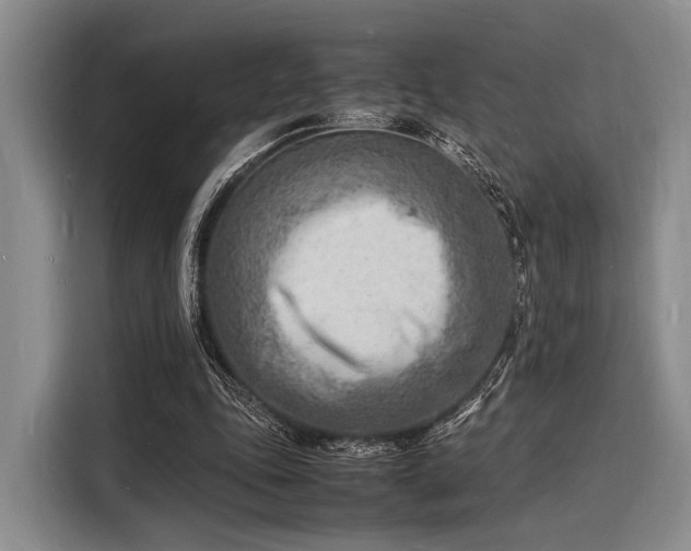 X0000116140343200911301525