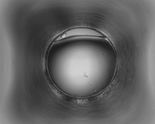 X0000116140345200911301525