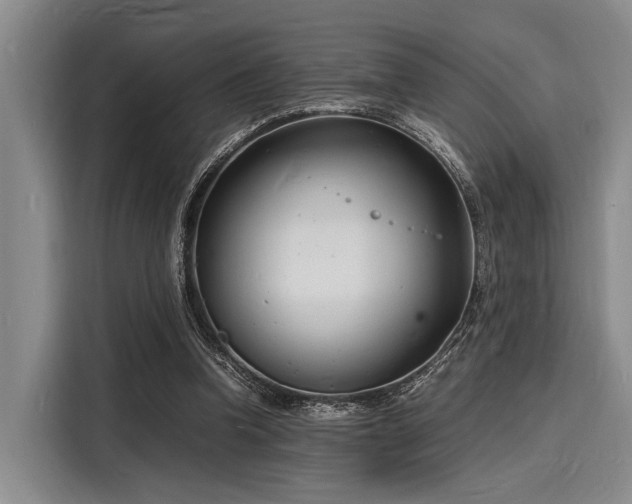 X0000116140346200911301525