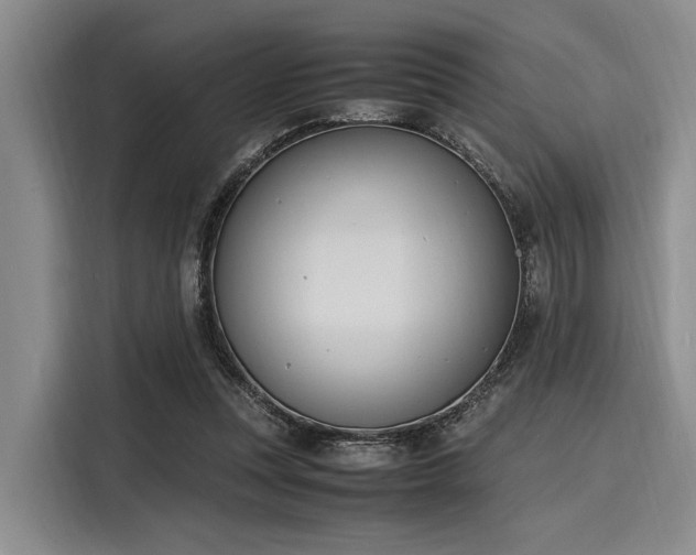 X0000116140351200911301525