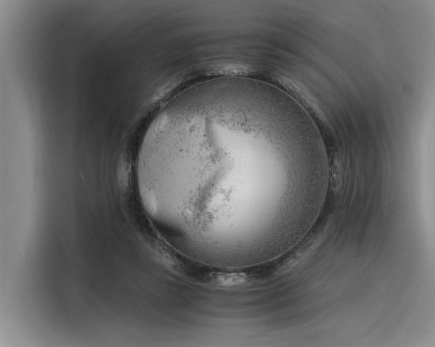 X0000116140355200911301525