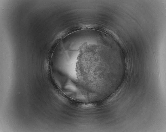 X0000116140357200911301525