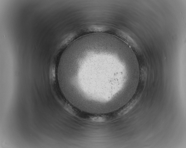 X0000116140358200911301525